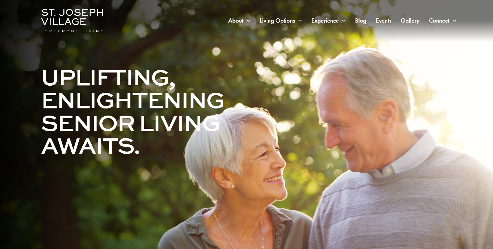 A New Look Online for SJV