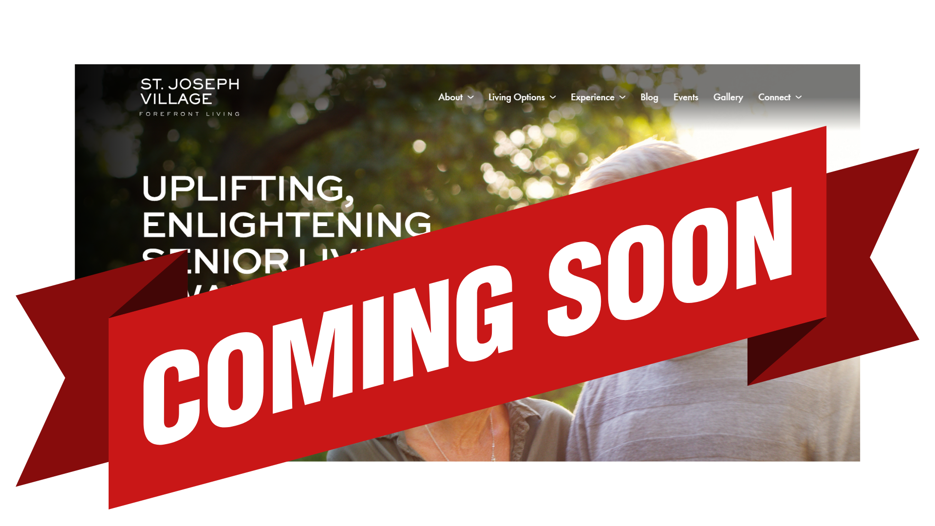 Coming Soon: A Fresh New Look for SJV Online